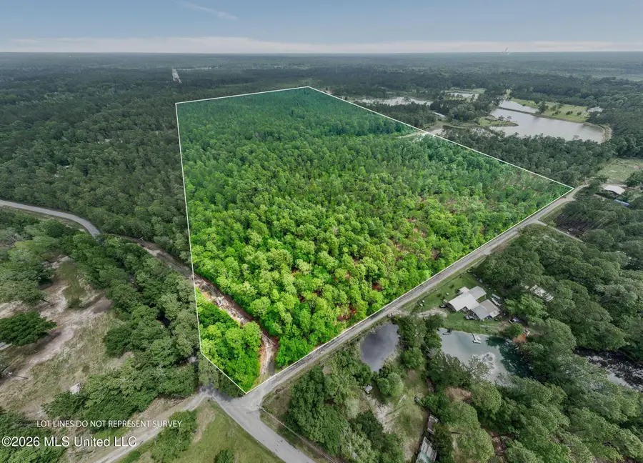 80 Acres Blue Wood Dr, Vancleave, MS 39565 - #2