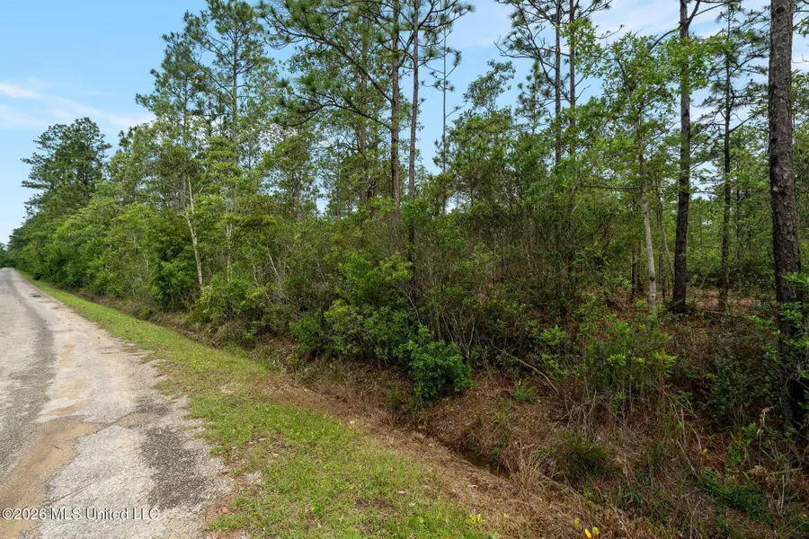 80 Acres Blue Wood Dr, Vancleave, MS 39565 - #3