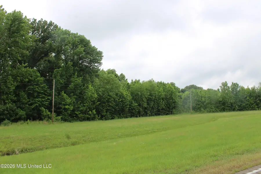 6 Eason Farm Road, Byhalia, MS 38611 - #2