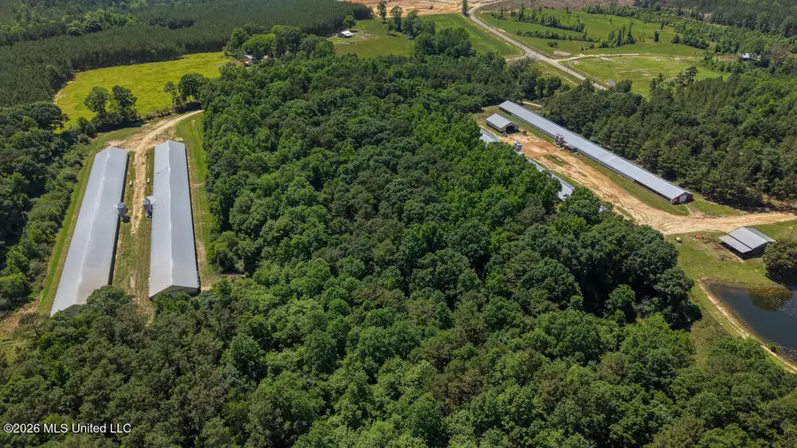 Smithtown Chicora Road, State Line, MS 39362 - #3