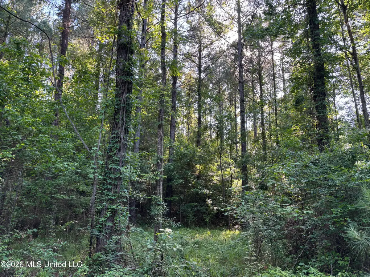 Beach Road, Roxie, MS 39661 - #1