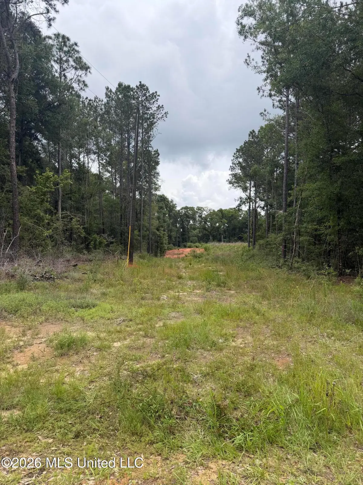 143 Mill Creek Lane, Lucedale, MS 39452 - #1
