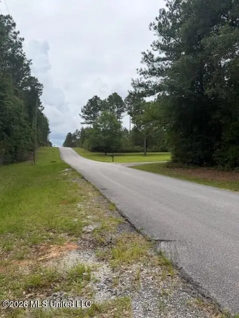 143 Mill Creek Lane, Lucedale, MS 39452 - #2