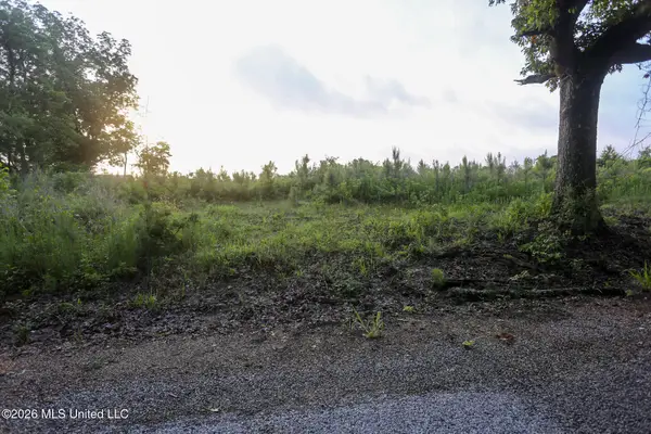 Oak Grove Road, Mendenhall, MS 39114
