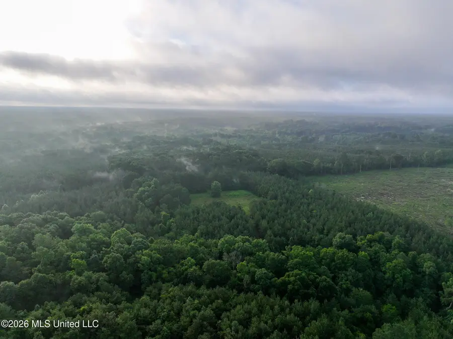 Oak Grove Road, Mendenhall, MS 39114 - #2