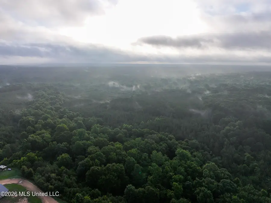 Oak Grove Road, Mendenhall, MS 39114 - #3