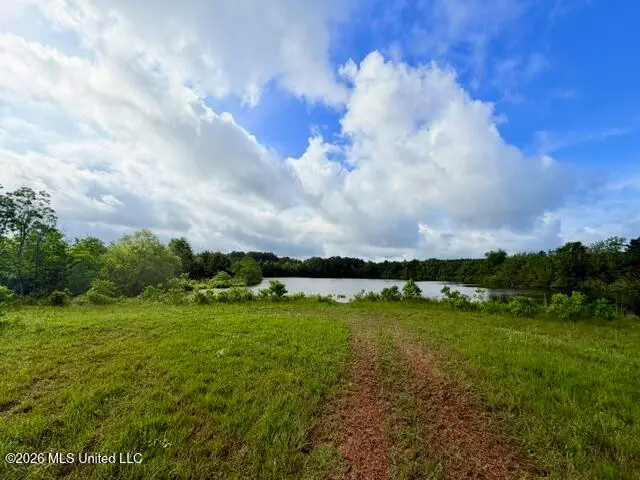 Morning Glory Road, McComb, MS 39648 - #2
