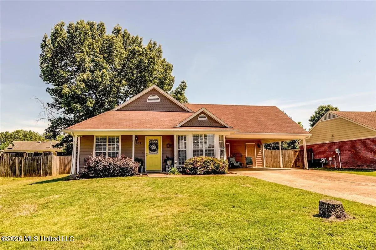 4203 Blackstone Drive, Horn Lake, MS 38637 - #1