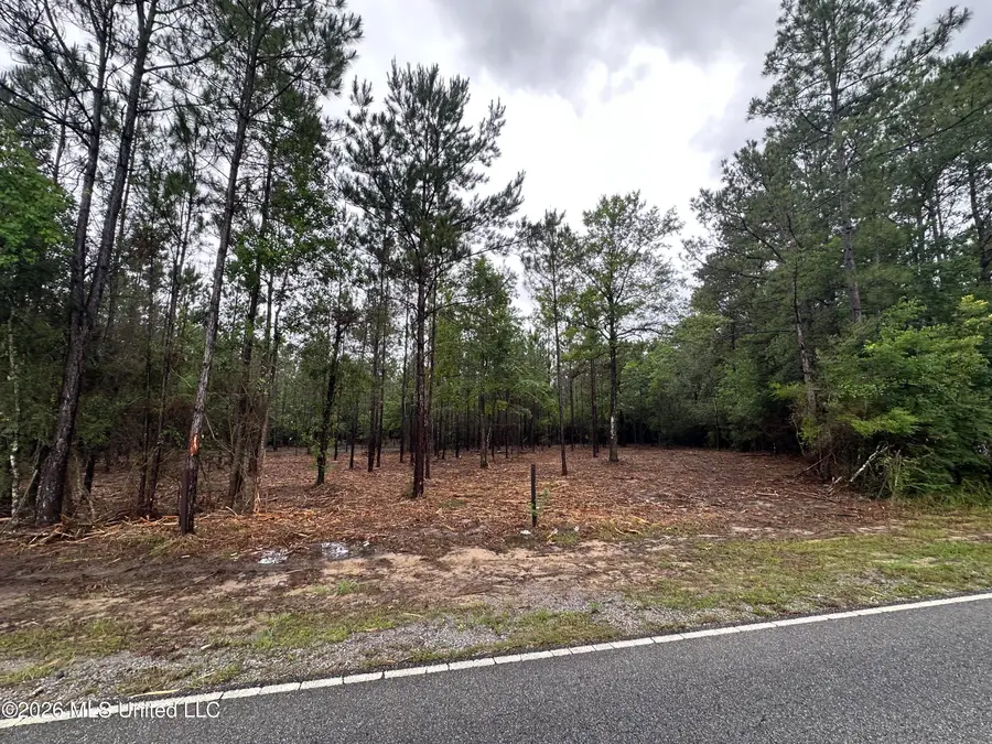 00 Seaman Road, Ocean Springs, MS 39565 - #3