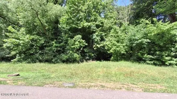 4419 W Dickens Place Drive, Southaven, MS 38671 - #3