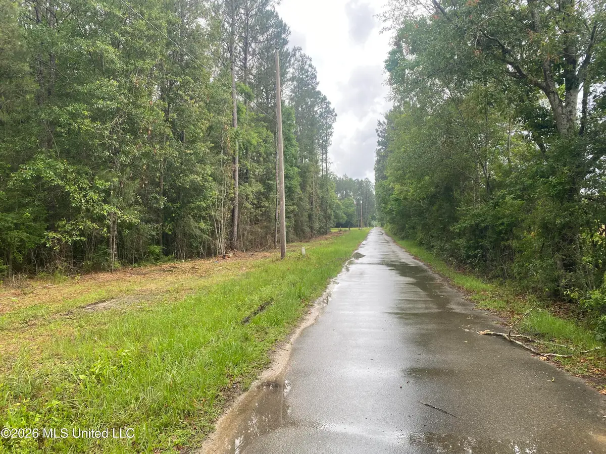 21205 S Fork Road, Saucier, MS 39574 - #1