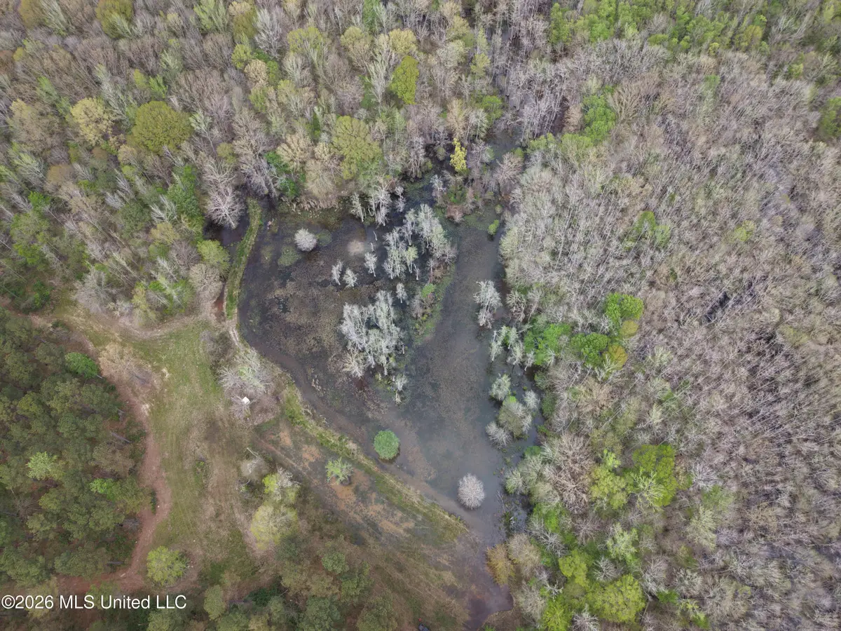 50556 Greenwood Springs Road, Amory, MS 38821 - #1