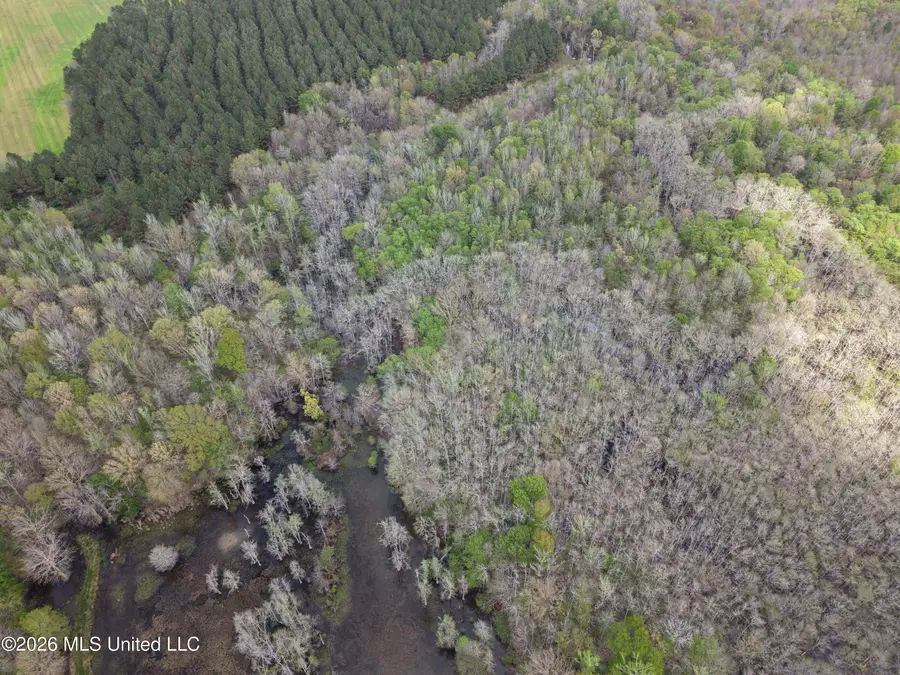 50556 Greenwood Springs Road, Amory, MS 38821 - #2
