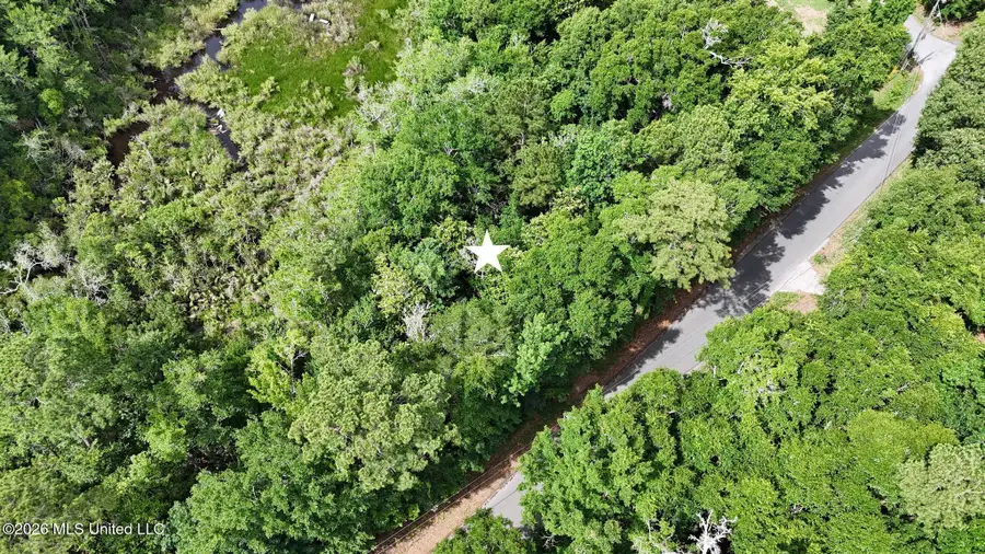 Dogwood Avenue, Ocean Springs, MS 39564 - #2