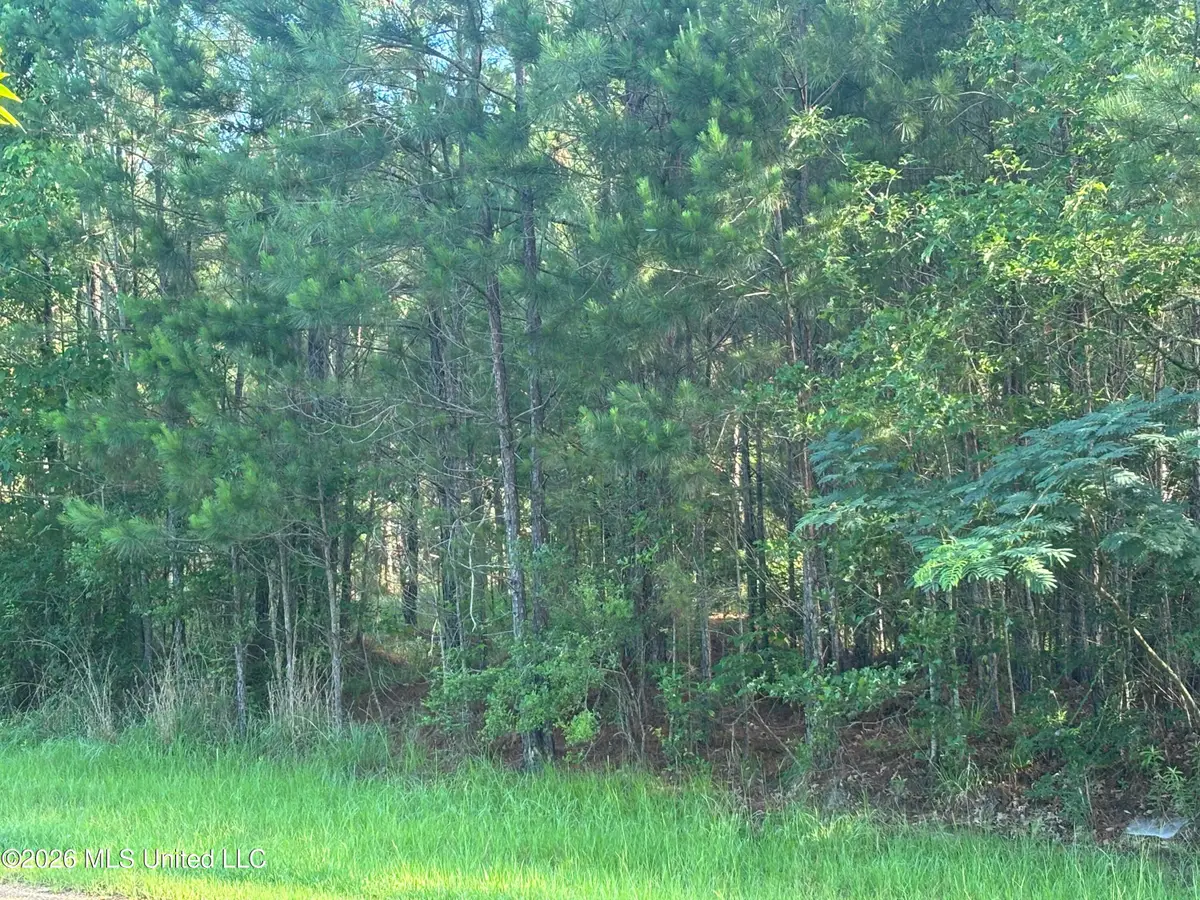 0 Shelby Road, Hermanville, MS 39086 - #1