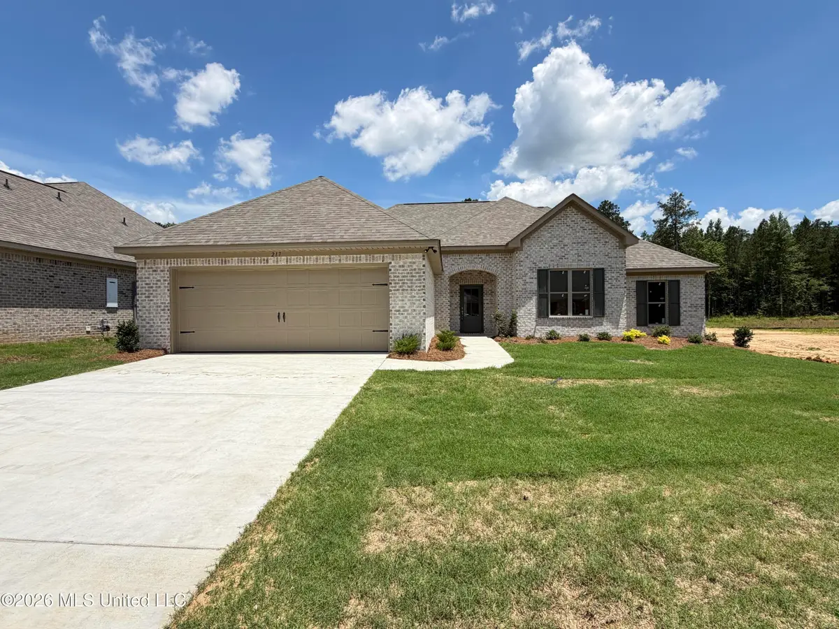 217 Anderson Oaks Drive, Pearl, MS 39208 - #1