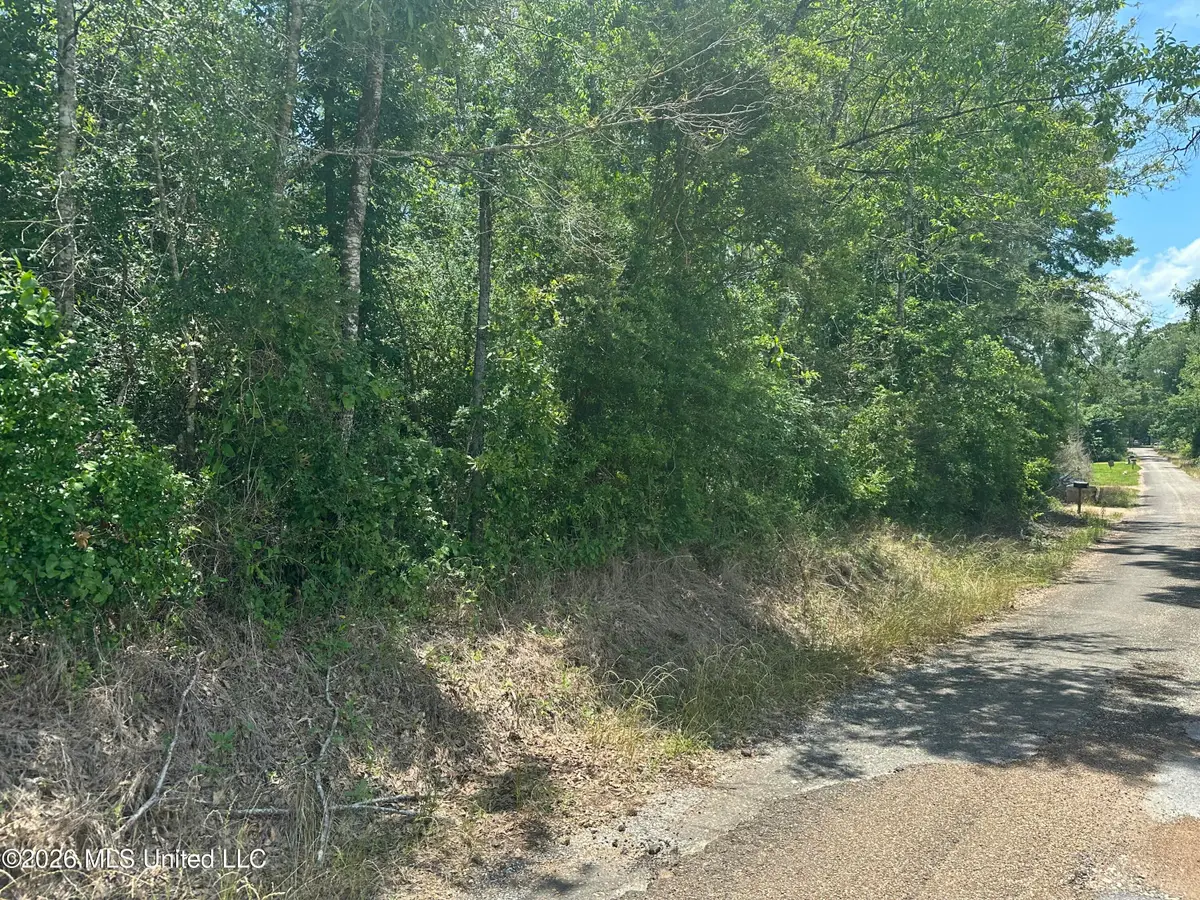 Smiley Honea Road, Magnolia, MS 39652 - #1
