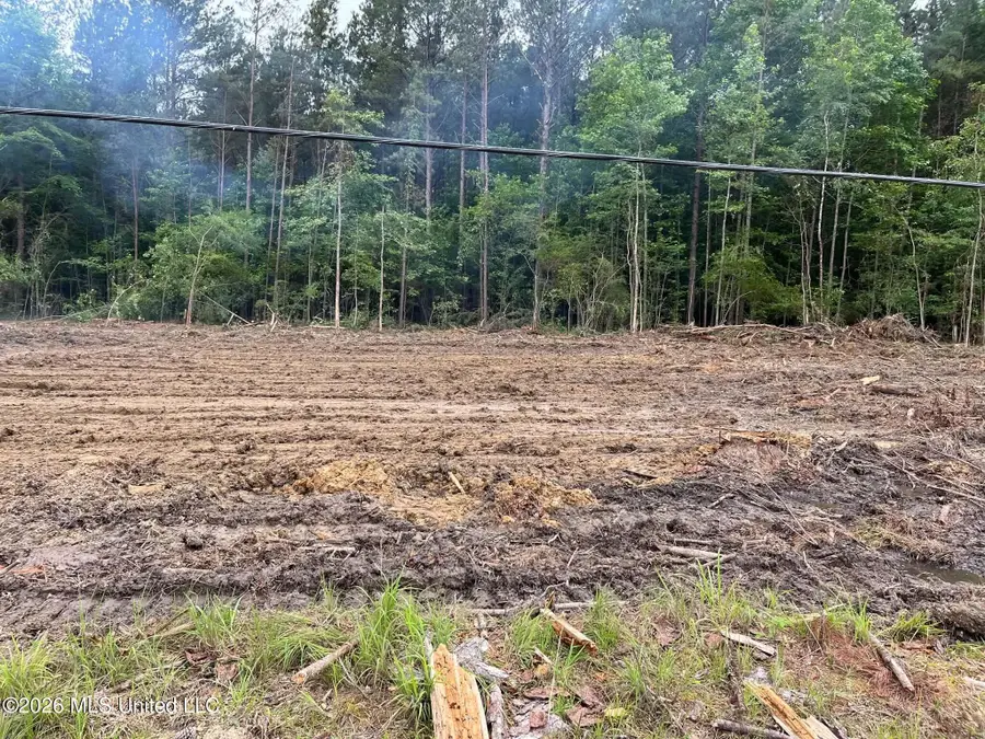 715 Old Pinola Braxton Road, Braxton, MS 39044 - #3