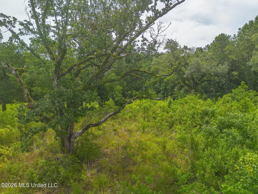 00 Oliver Street, Bay Saint Louis, MS 39520 - #3
