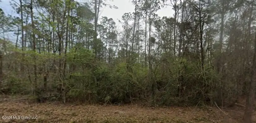 0 Aila Street, Diamondhead, MS 39525 - #2