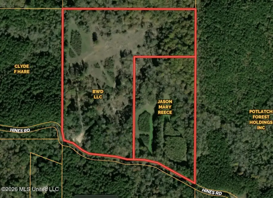 672-a31 Hines Road, Camden, MS 39045 - #2