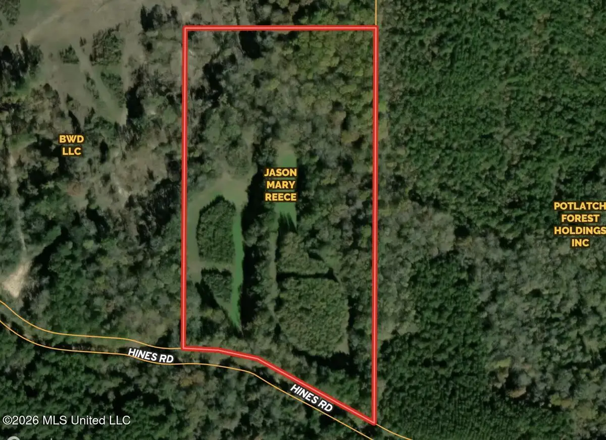 672 Hines Road, Camden, MS 39045 - #1