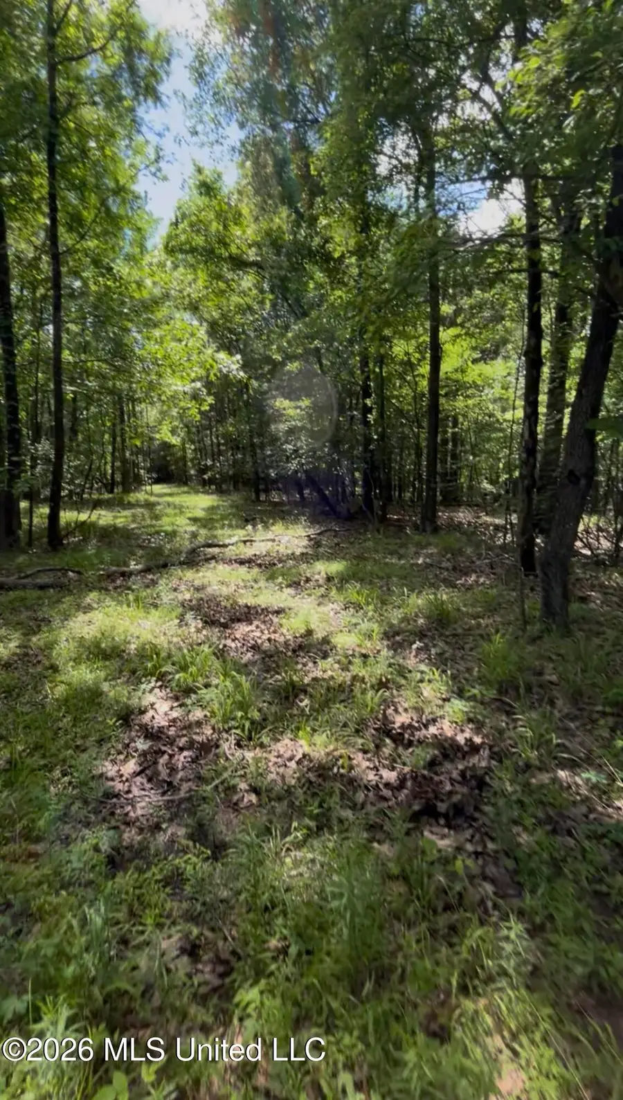 5235 Highway 51, Hernando, MS 38632 - #3