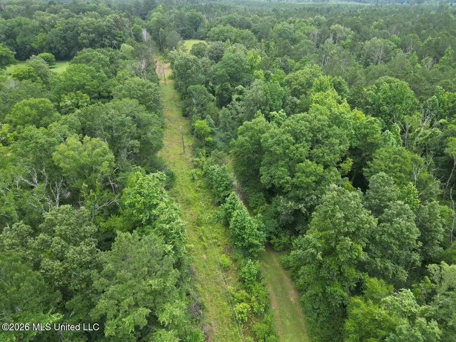 2986 Oldenburg Road, Meadville, MS 39653 - #3