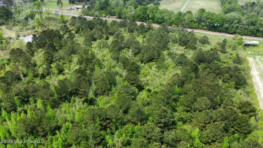 6225 Wesley Powell Road, Lucedale, MS 39452 - #3