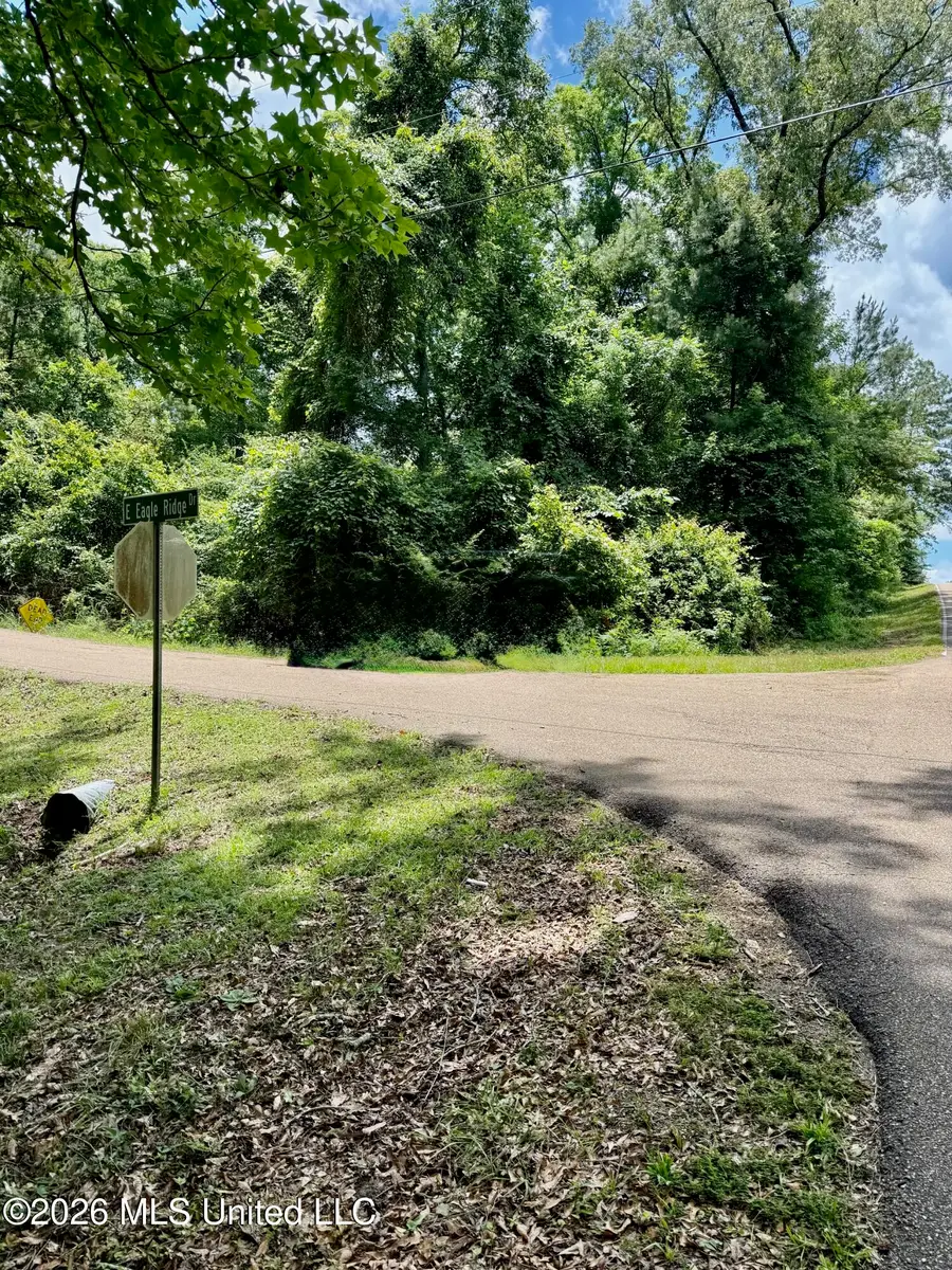 S Eagle Ridge Drive, Florence, MS 39073 - #2