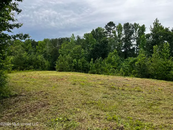 Cline Road, Wesson, MS 39191