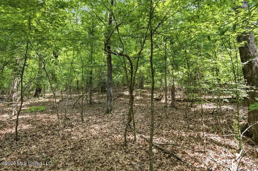 0 Dover Lane, Madison, MS 39110 - #3