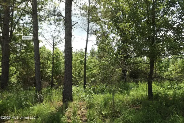 Randletown Road, Lexington, MS 39095