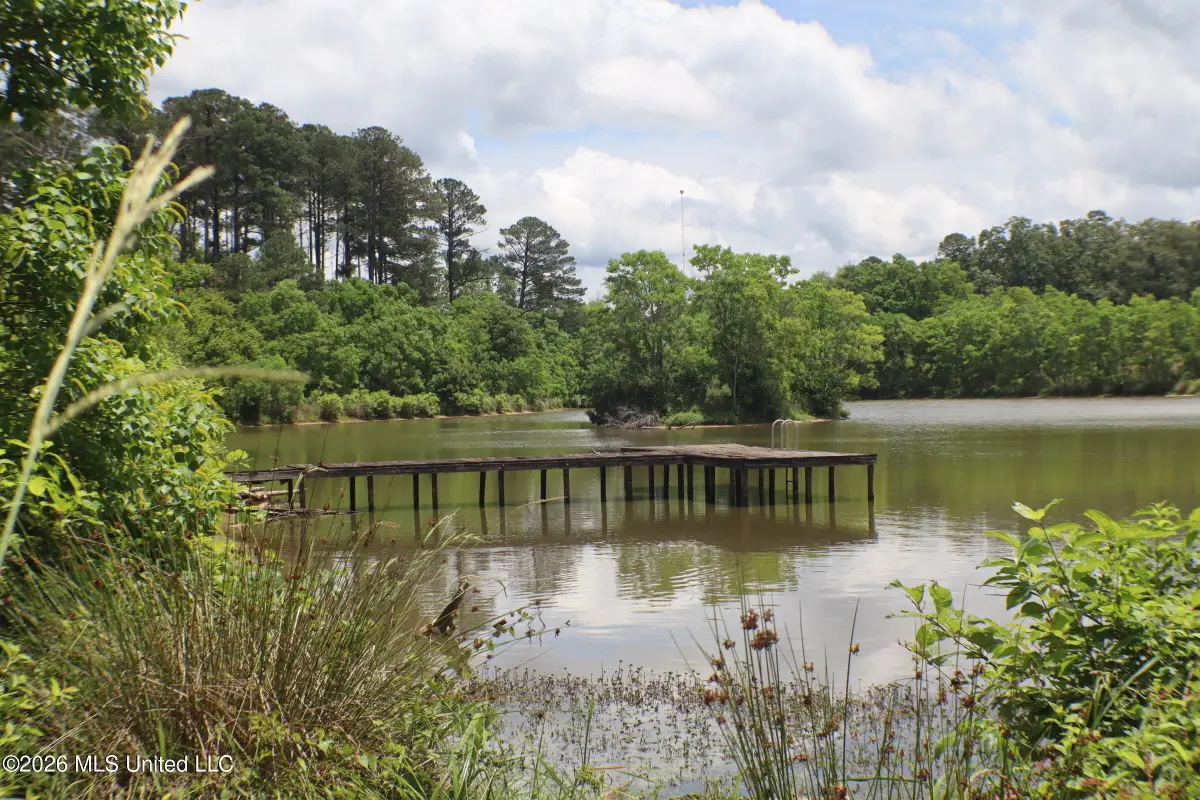 Vine Drive, Brandon, MS 39047 - #1