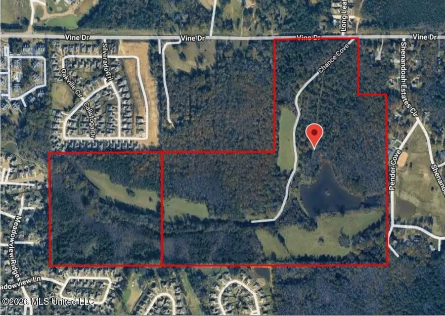 Vine Drive, Brandon, MS 39047 - #2