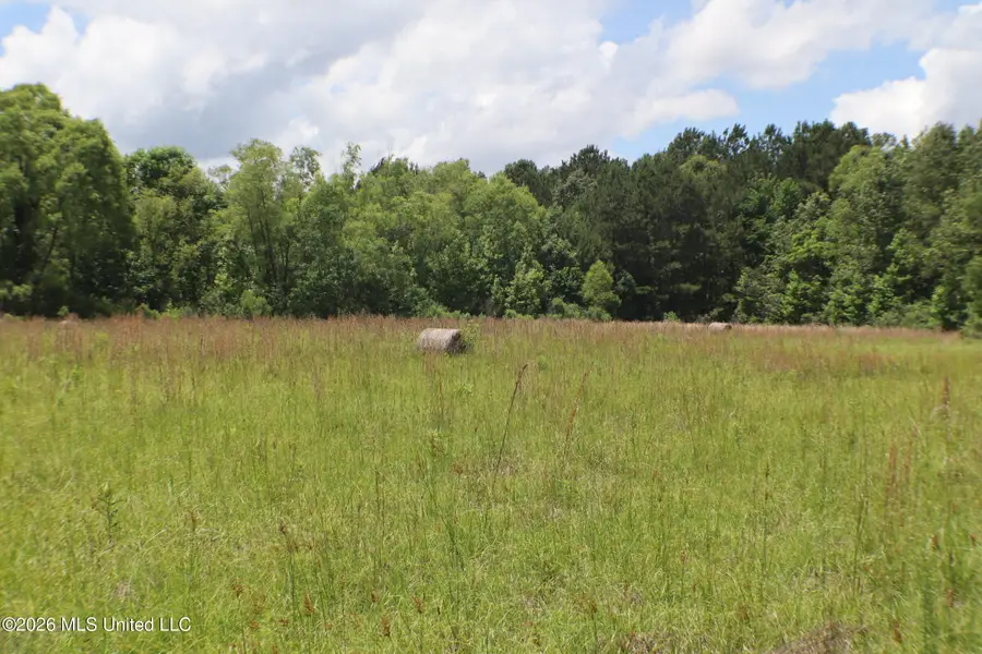 Vine Drive, Brandon, MS 39047 - #3
