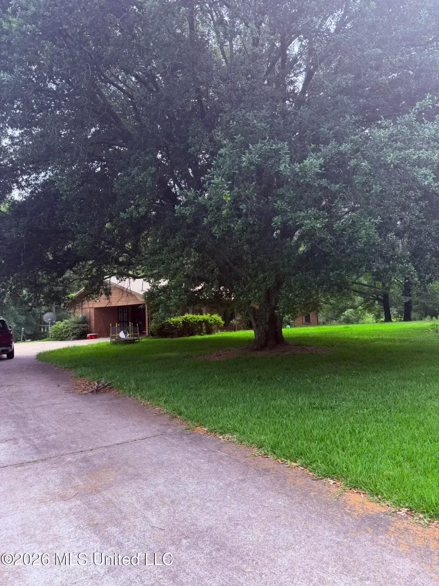 2242 Old Pickens Road, Kosciusko, MS 39090 - #3