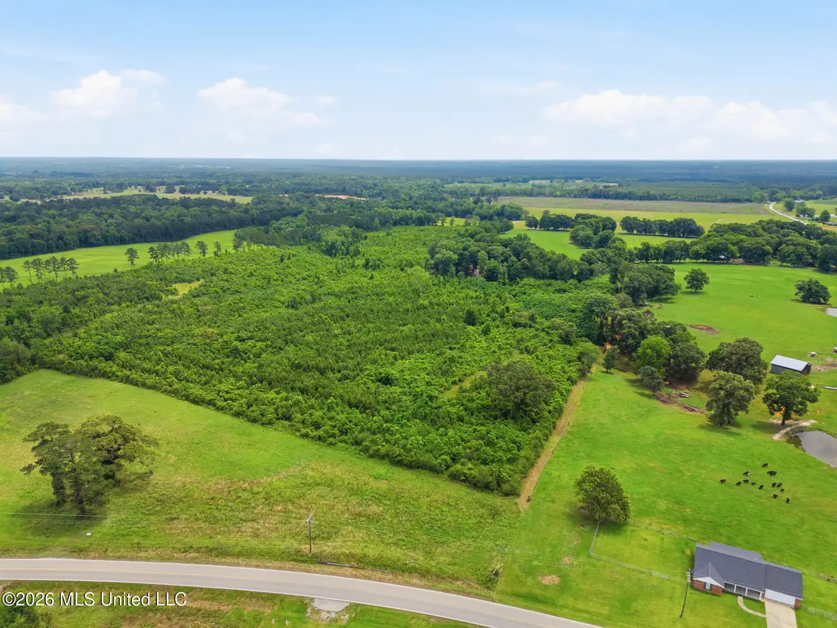 Ms Highway 29, Ovett, MS 39464 - #1