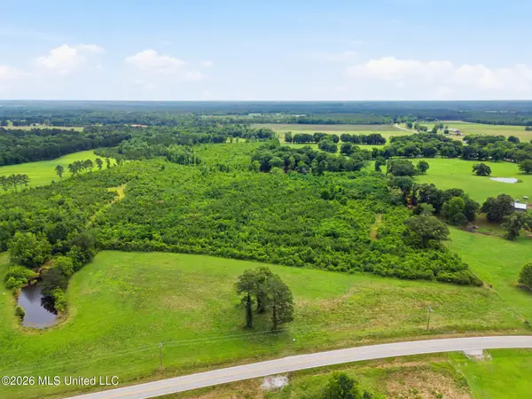 00 Ms Highway 29, Ovett, MS 39464