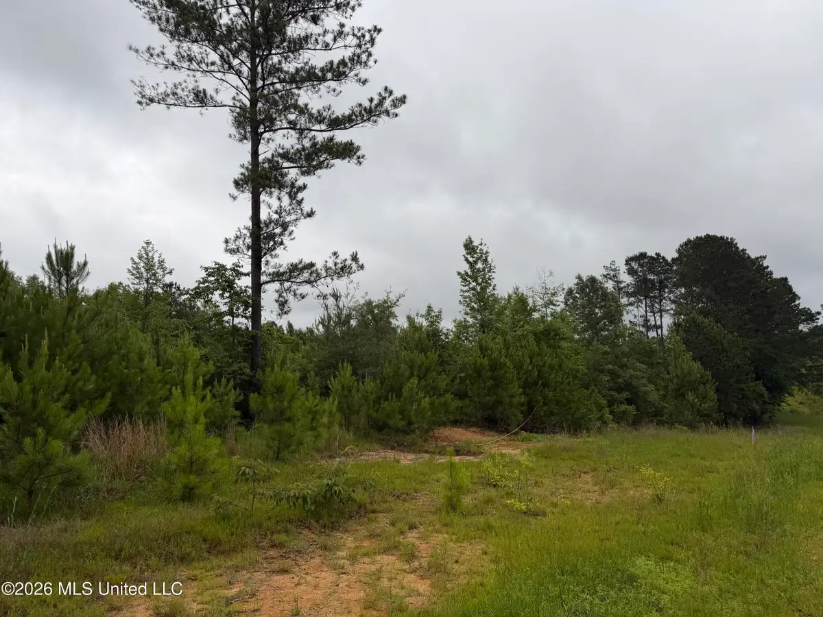 Shell Oil Road, Summit, MS 39666 - #1