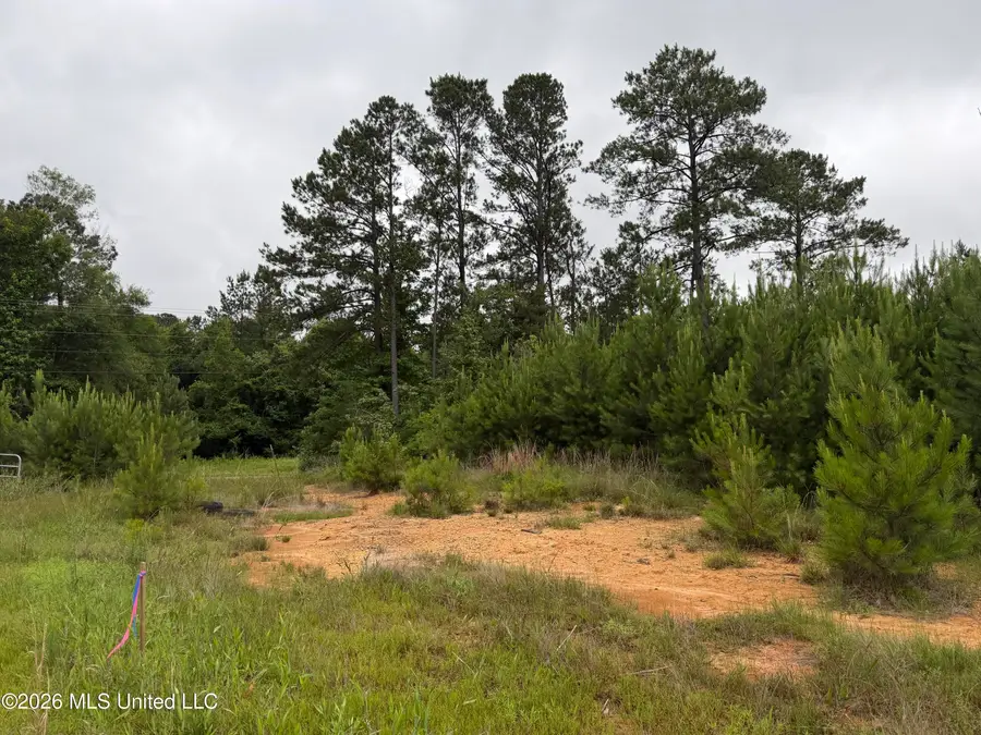 Shell Oil Road, Summit, MS 39666 - #3