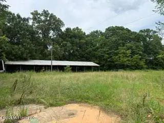 Highway 13, Lena, MS 39094 - #2