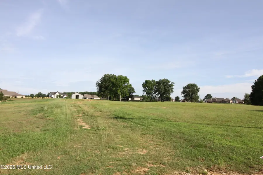 2841 Oak Grove Cove, Hernando, MS 38632 - #2