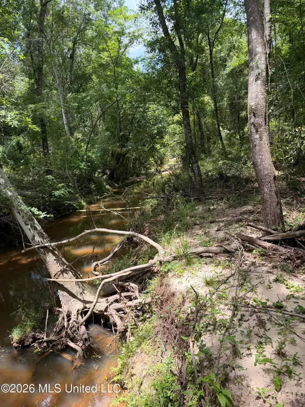 River Road, Liberty, MS 39645