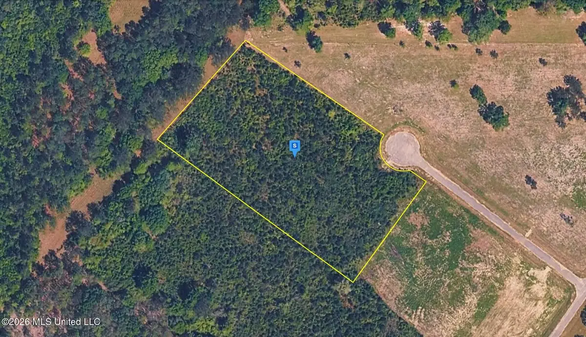 8650 Mint Julep Drive, Perkinston, MS 39573 - #1