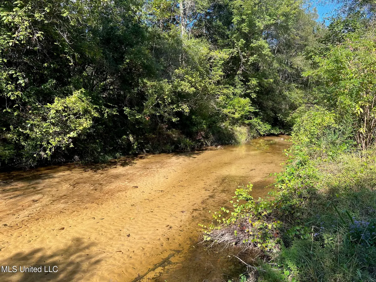 19055 Clearwater Drive, Kiln, MS 39556 - #1