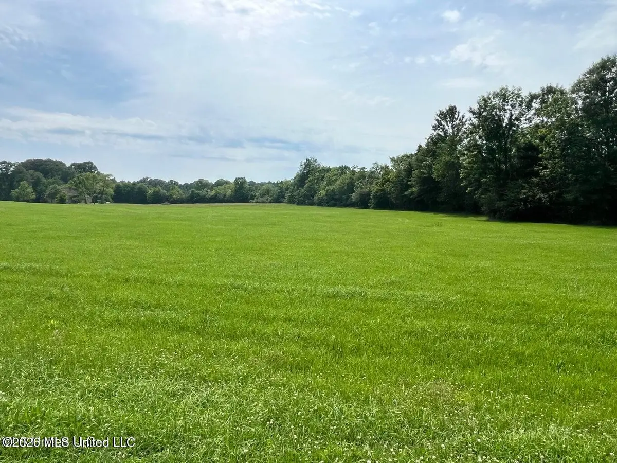 Sky Lake Drive, Pelahatchie, MS 39145 - #1