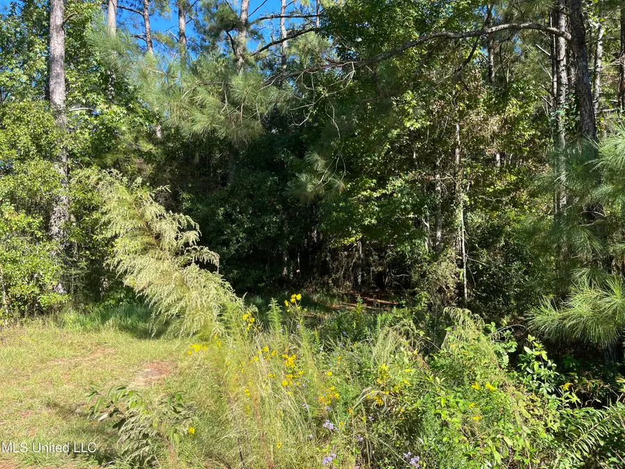 0 Timberlane Road, Picayune, MS 39466 - #3
