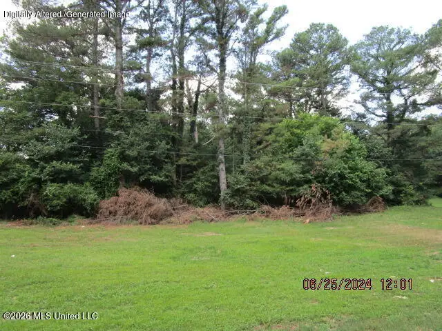 N Stage Road, Coldwater, MS 38618 - #1