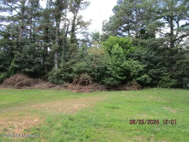 N Stage Road, Coldwater, MS 38618 - #3
